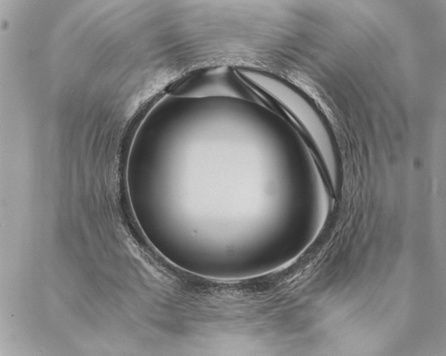 X0000088720677200706141614