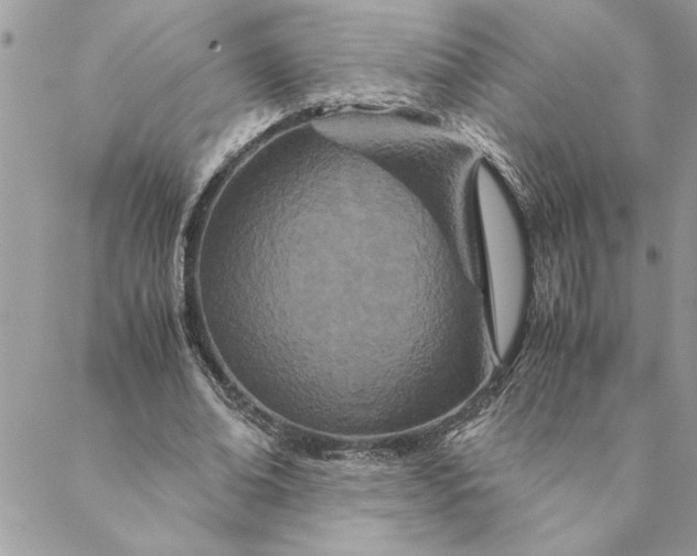 X0000088720678200706141614