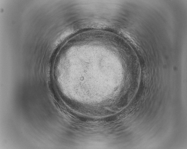 X0000088720679200706141614