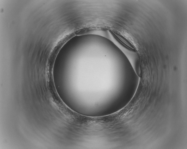 X0000088720680200706141614