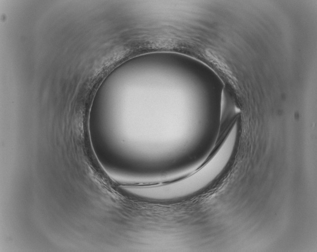 X0000088720681200706141614