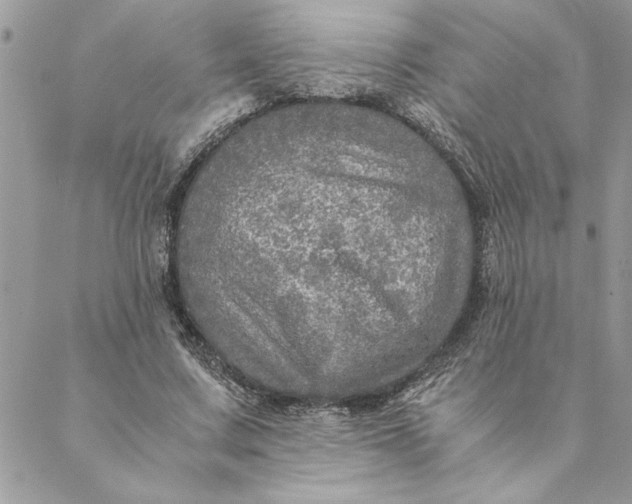 X0000088720683200706141614