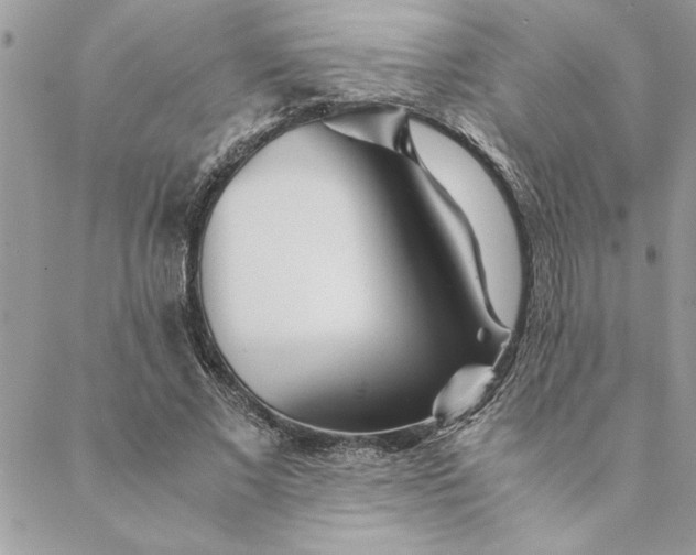 X0000088720685200706141613