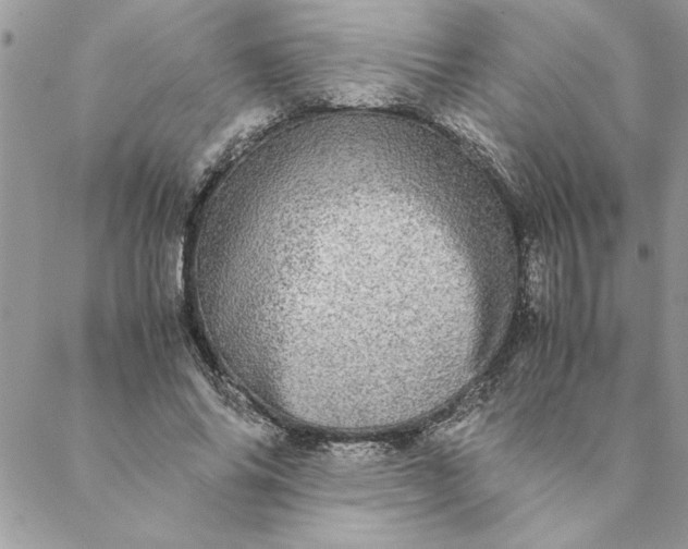 X0000088720686200706141613