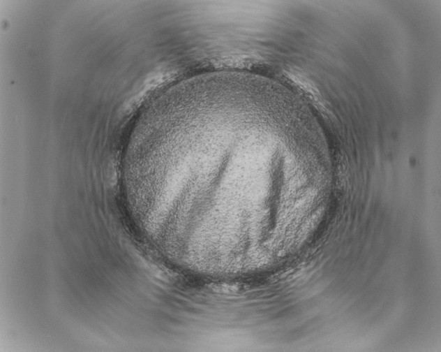 X0000088720687200706141613