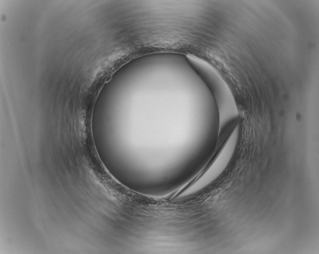 X0000088720688200706141613