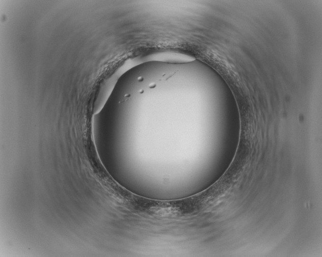 X0000088720689200706141613