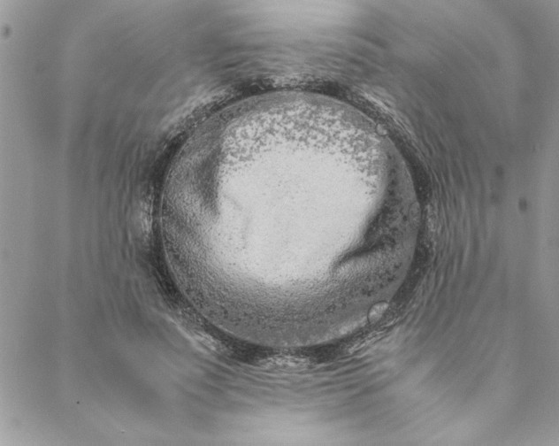 X0000088720691200706141613