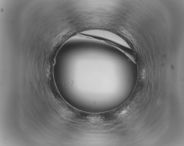 X0000088720693200706141613