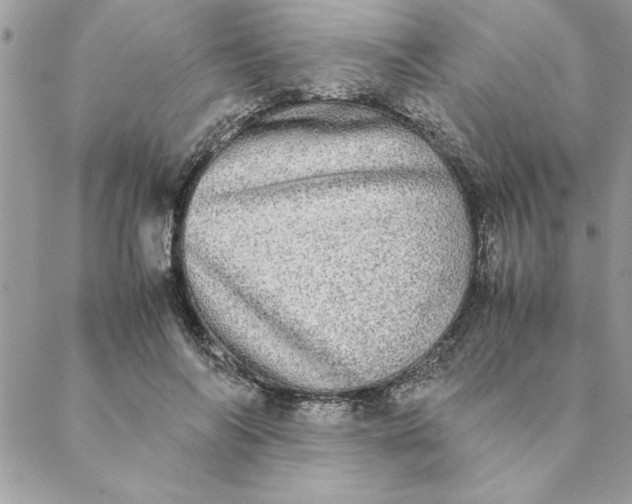 X0000088720694200706141613