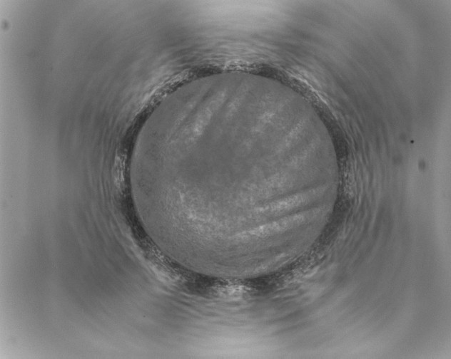 X0000088720695200706141613