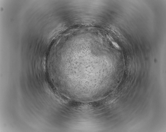 X0000088720696200706141613