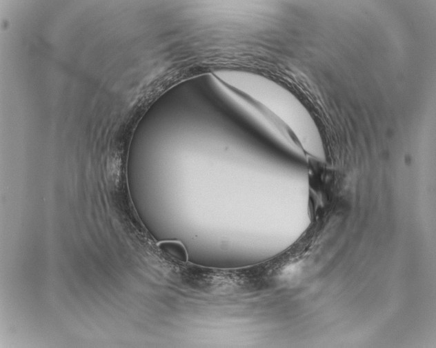 X0000088720697200706141613