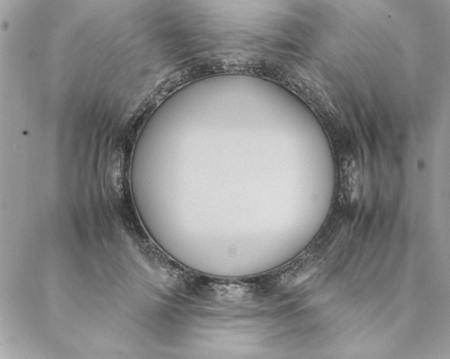 X0000088720698200706141613