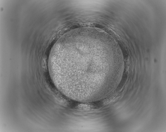 X0000088720699200706141613