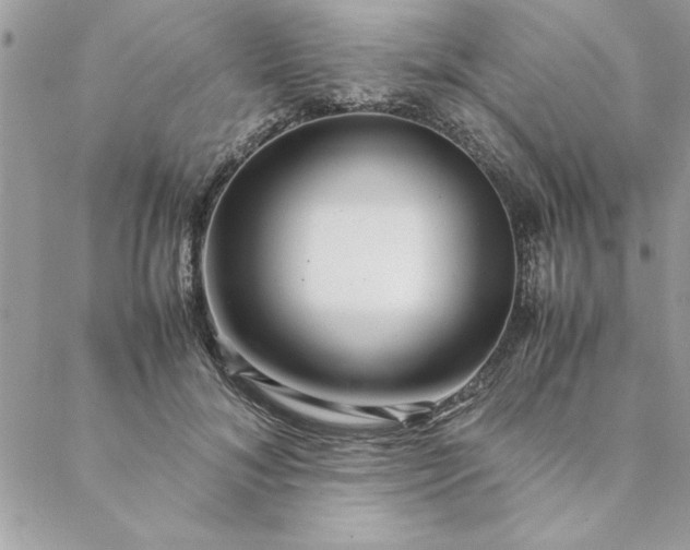 X0000088720700200706141613