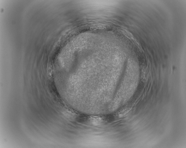 X0000088720701200706141613