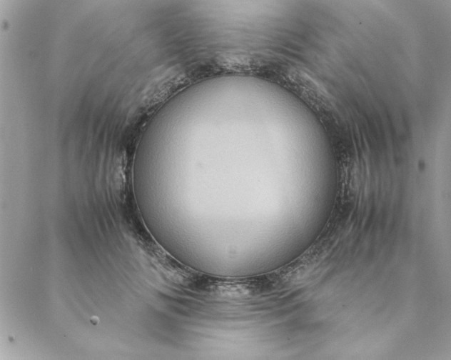 X0000088720702200706141613