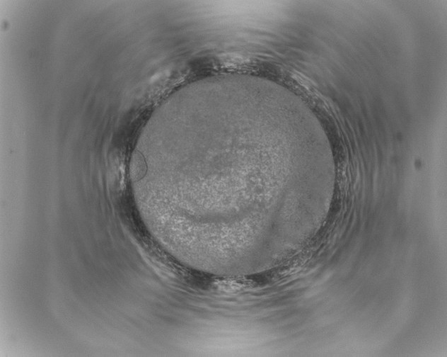 X0000088720703200706141613