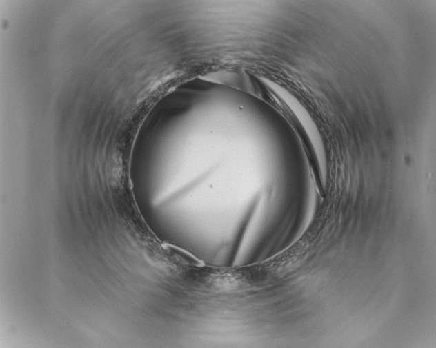 X0000088720704200706141613