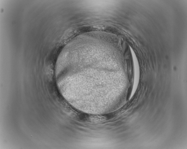 X0000088720707200706141613