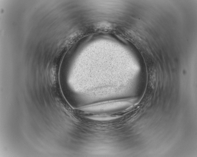 X0000088720708200706141613