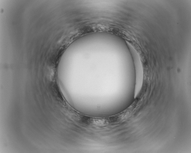 X0000088720709200706141613