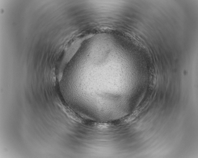 X0000088720710200706141613