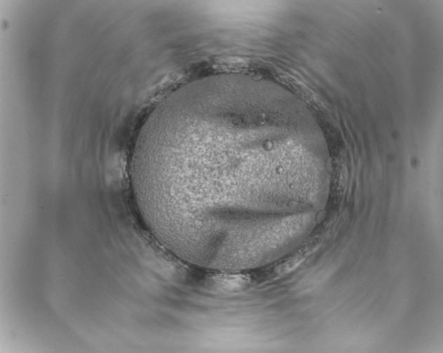 X0000088720711200706141613