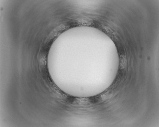 X0000088720713200706141613