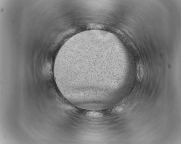 X0000088720714200706141613