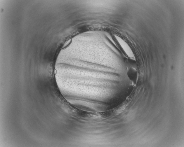 X0000088720715200706141613