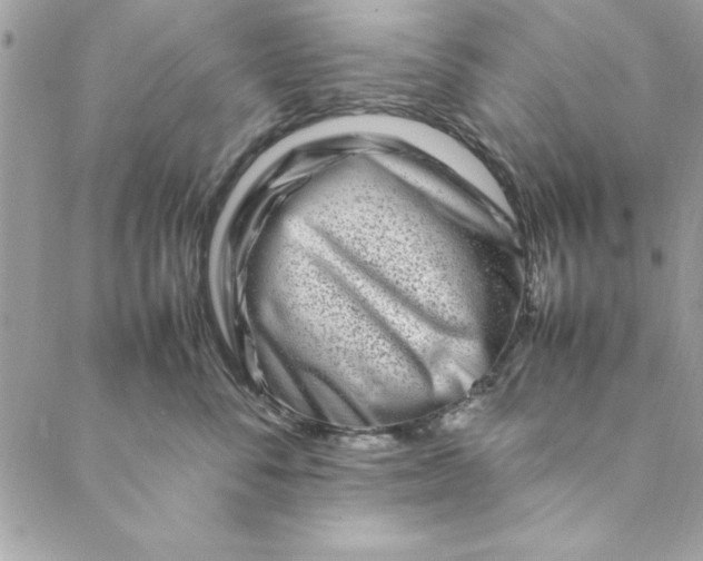 X0000088720716200706141613