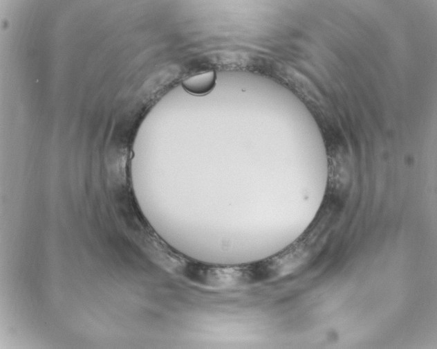 X0000088720717200706141613