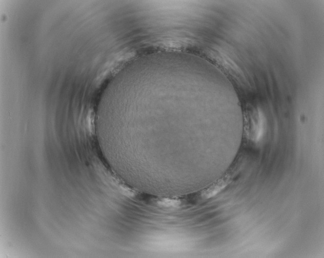 X0000088720718200706141613