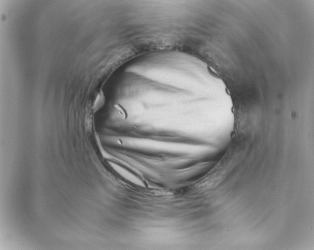 X0000088720719200706141613