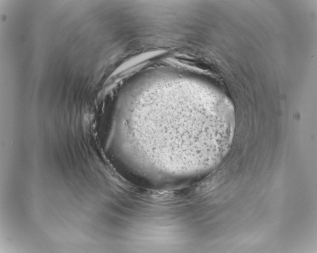 X0000088720720200706141613