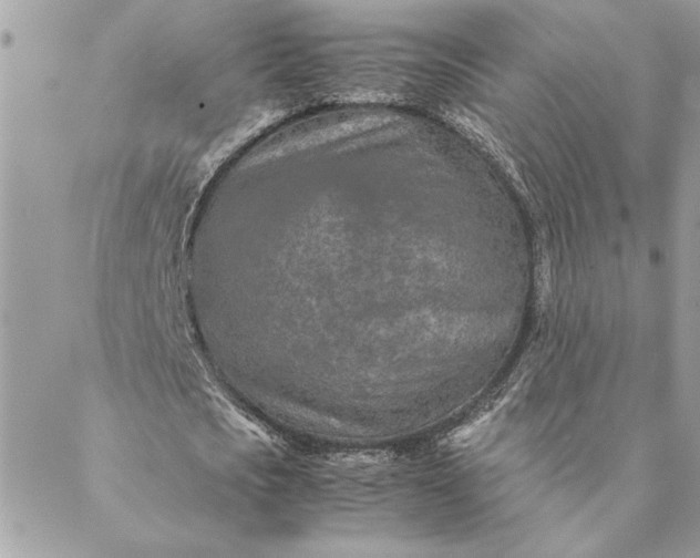 X0000088720721200706141612