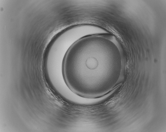 X0000088720724200706141612