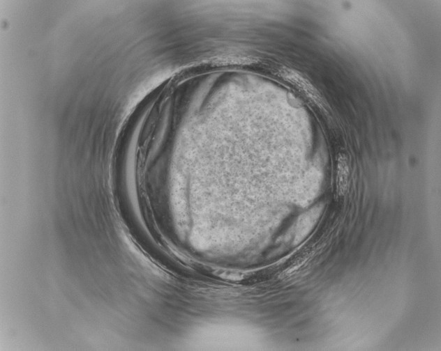 X0000088720726200706141612