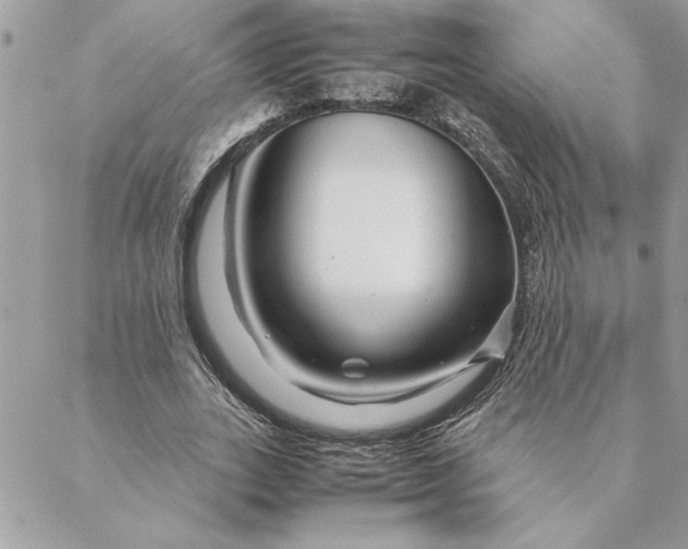 X0000088720727200706141612