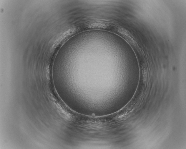 X0000088720729200706141612