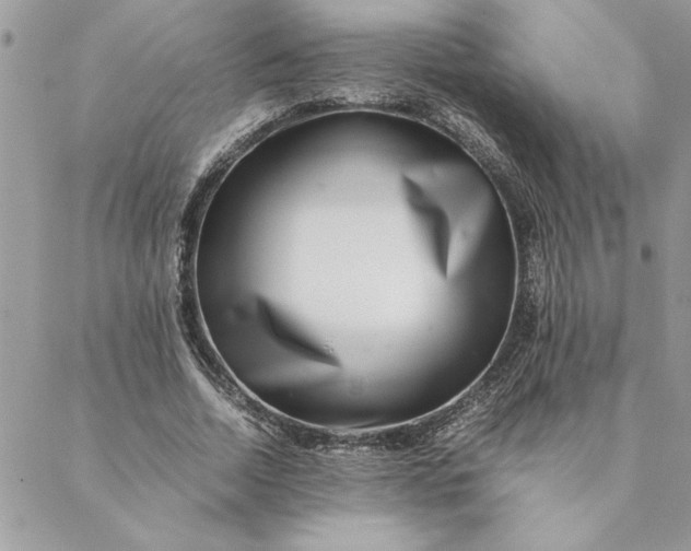 X0000088720730200706141612