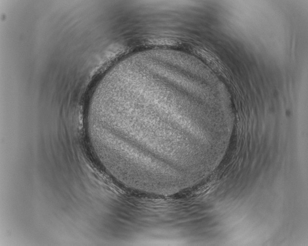 X0000088720731200706141612