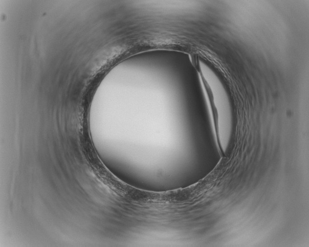 X0000088720732200706141612