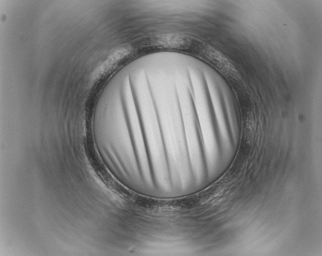 X0000088720734200706141612