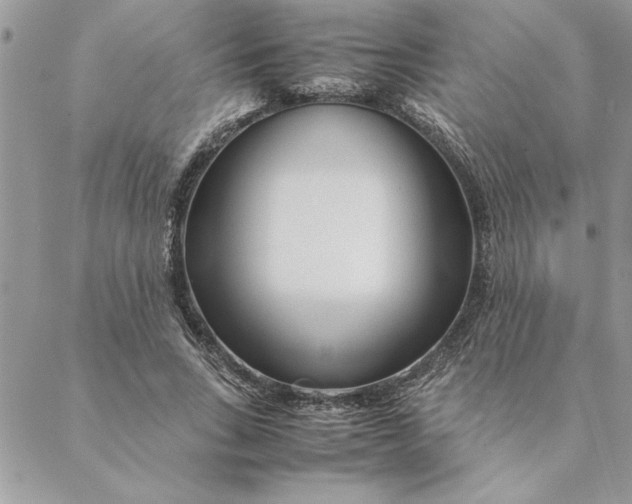 X0000088720735200706141612