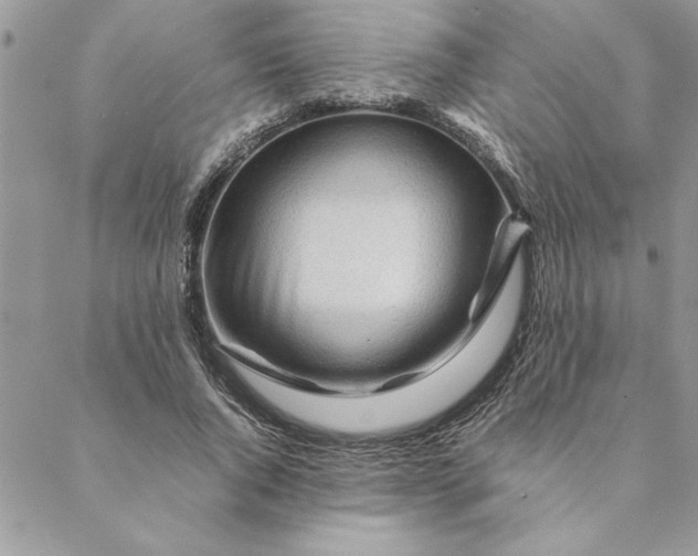 X0000088720736200706141612