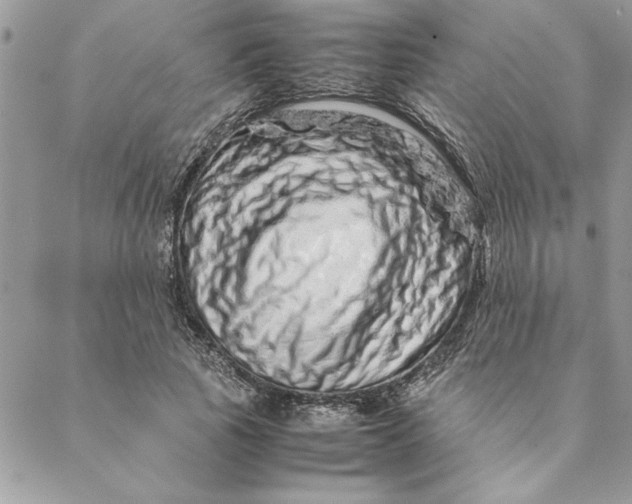 X0000088720737200706141612