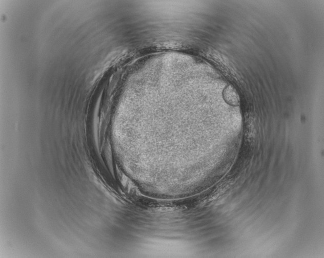 X0000088720738200706141612